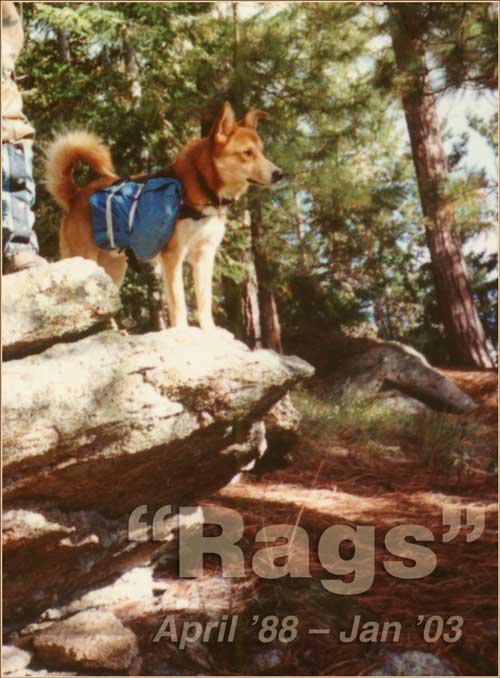 Rags, April '88 - Jan '03