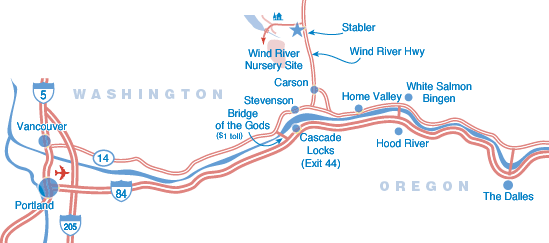 Road Map